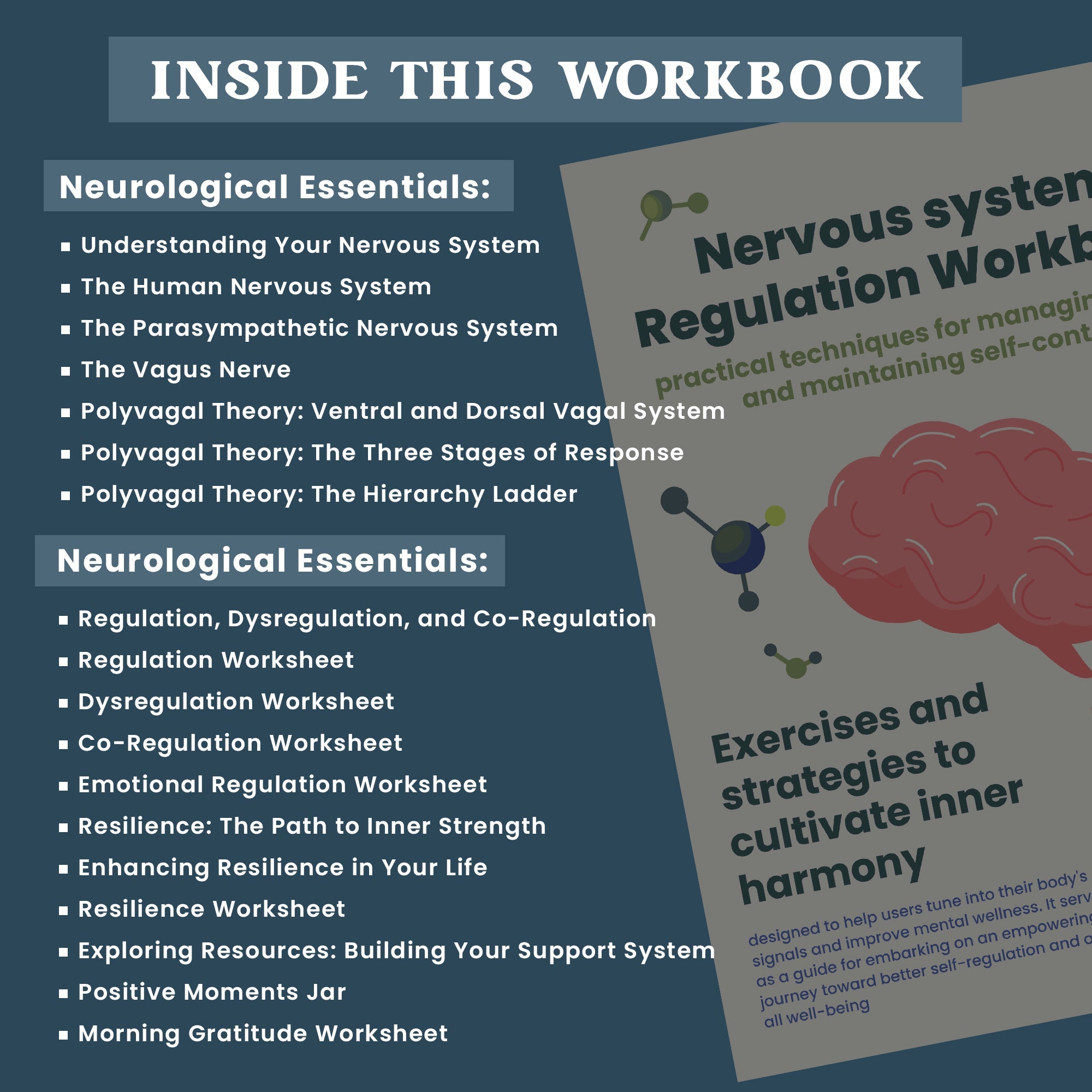 Nervous System Regulation Workbook, Somatic Exercise Polyvagal Theory Ladder Vagus Vagal Nerve Therapy Techniques Worksheets Co-regulation